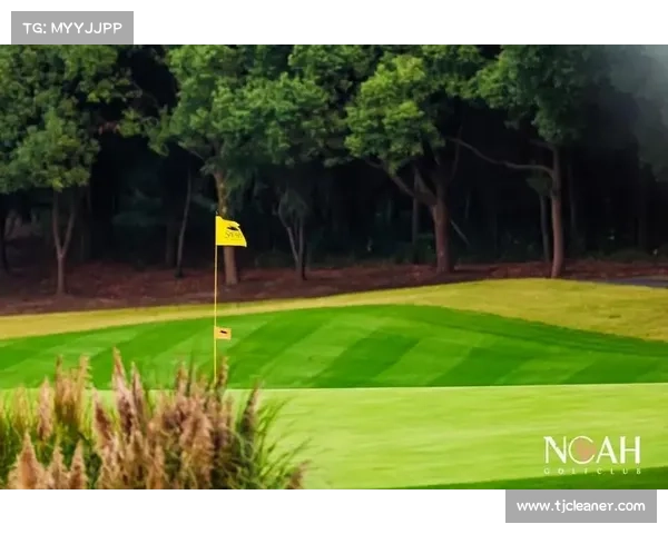 阳光高尔夫赛事-阳光照耀绿茵场高尔夫精英争霸赛激情无限